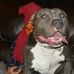 Walter Lott IV - Facebook