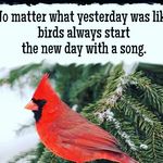 walter - @walter_loving_life - Instagram