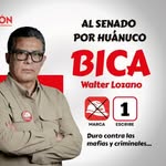 Walter Lozano al Senado - @bica_walterlozano - Instagram