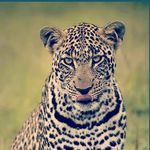 Walter Bishop - @walter_luck - Instagram