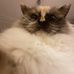 Walter Lundgren - Facebook