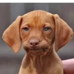 Walter Lyman - @lyman.walter - Instagram