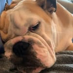 @waltermacaulaycommens - Instagram
