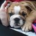 Walter Mackay - Facebook