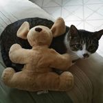 walter ronald mackay - @walterronaldmack - Instagram