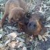 Valter Magi - Facebook