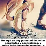 Walter Malan - @walter.malan.507 - Instagram