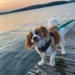 Walter Mallory - @_walter_mallory_ - Instagram