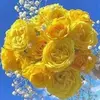 Walter Manera - @walter.manera - TikTok