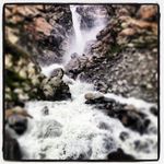 Walter Mannes - @waltermannes - Instagram
