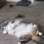 Mavis Markham - @waltermarkham - Instagram