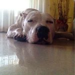 Walter Martella - @waltermartella - Instagram