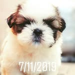 Walter Mathias Araya Muñoz - @waltermathiasaraya - Instagram
