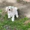 Walter Matos - @walter.matos96 - TikTok