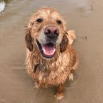 Walter Bug McGraw - @walterbugmcgraw - Instagram