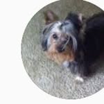 Walter McGraw jr - @waltermcgrawjr - Instagram