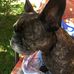 Walter Menzel - Facebook