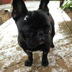 Walter Middleton - @walter_middleton - Instagram