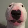 I REMIX WALTER - @walterremixer - TikTok