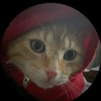 Walter Mora - Facebook