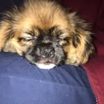 Walter Mori - @fglourtip - Instagram