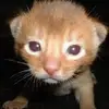 Walter Mori - @walter.mori4 - TikTok