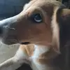 Walter Mori López Martinez - @walter.mori.lpez - TikTok