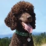 Walter Morrison - @walter.walks_ - Instagram
