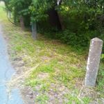 Walter Morrison - @walter.morrison.33449 - Instagram