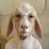 user1877 - @walternash187 - TikTok
