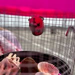 Walter Avitar Topham Hatch Nash - @walter_crab - Instagram