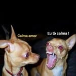 Walter Nash - @n_valterdo - Instagram
