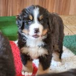 Walter-Nash - @walter.nashs_universe - Instagram