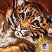 Walter Neumann - Facebook