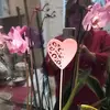walter neumann - @walter.neumann69 - TikTok