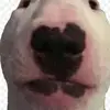 Walter - @walternews - TikTok