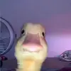 walternewchurch - @walternewchurch - TikTok