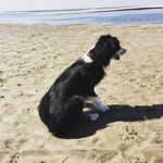 Walter Newell - @aussie_walter27 - Instagram