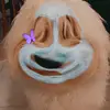 walter_nielsen - @walter_nielsen - TikTok