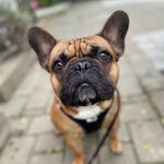 Walter - @walter_qajser_nielsen - Instagram