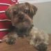Walter Norton - Facebook