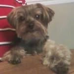 Walter Norton - @walter.norton.5 - Instagram