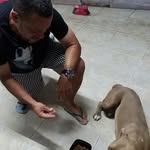 Walter Nunes - @walter.nunes.5205622 - Instagram
