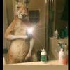 Walter Obando - @walter.obando134 - TikTok