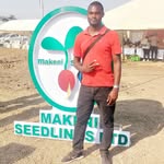 Walter O'Brien - @mumbi_mutale - Instagram