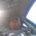 Walter Oneal - Facebook