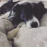 Walter Oneal - @henisvabrit - Instagram