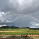 Walter Scott Wines - @walterscottwines - Instagram
