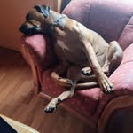 Walter Hofmann - @walterotterbach - Instagram