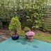Walter Otte - Facebook